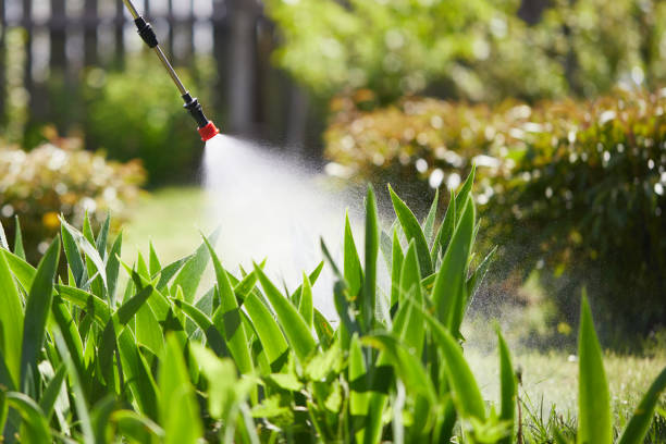 24/7 Emergency Mosquito Control experts in Niwot, CO