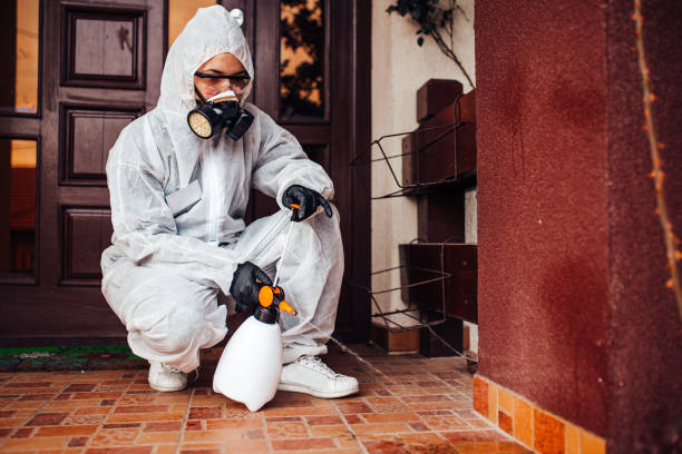 Reliable Mosquito Control contractor in Niwot, CO by Show Me Pest Control